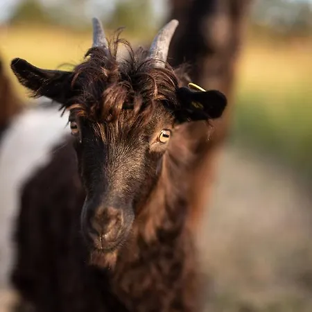 Horská chata Cirkusvognen Pa Aero Marstal