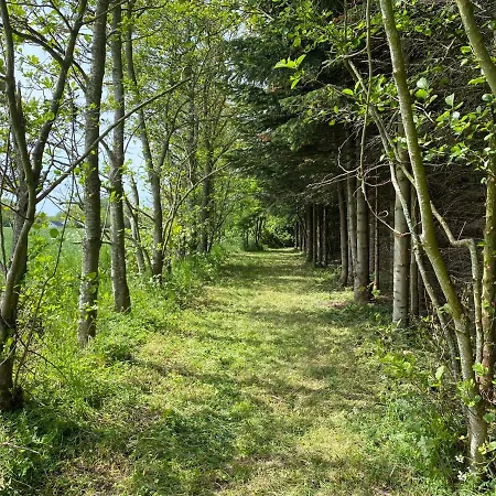 Domek alpejski Cirkusvognen Pa Aero Marstal