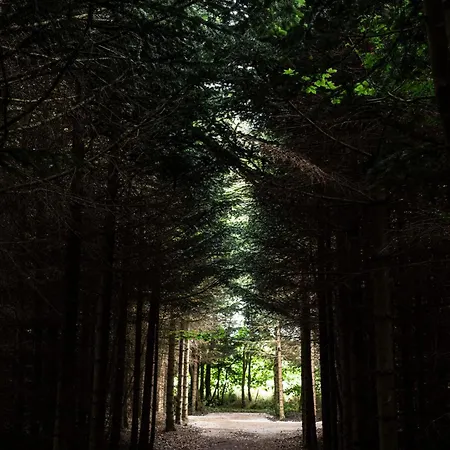 Cirkusvognen Pa Aero Marstal